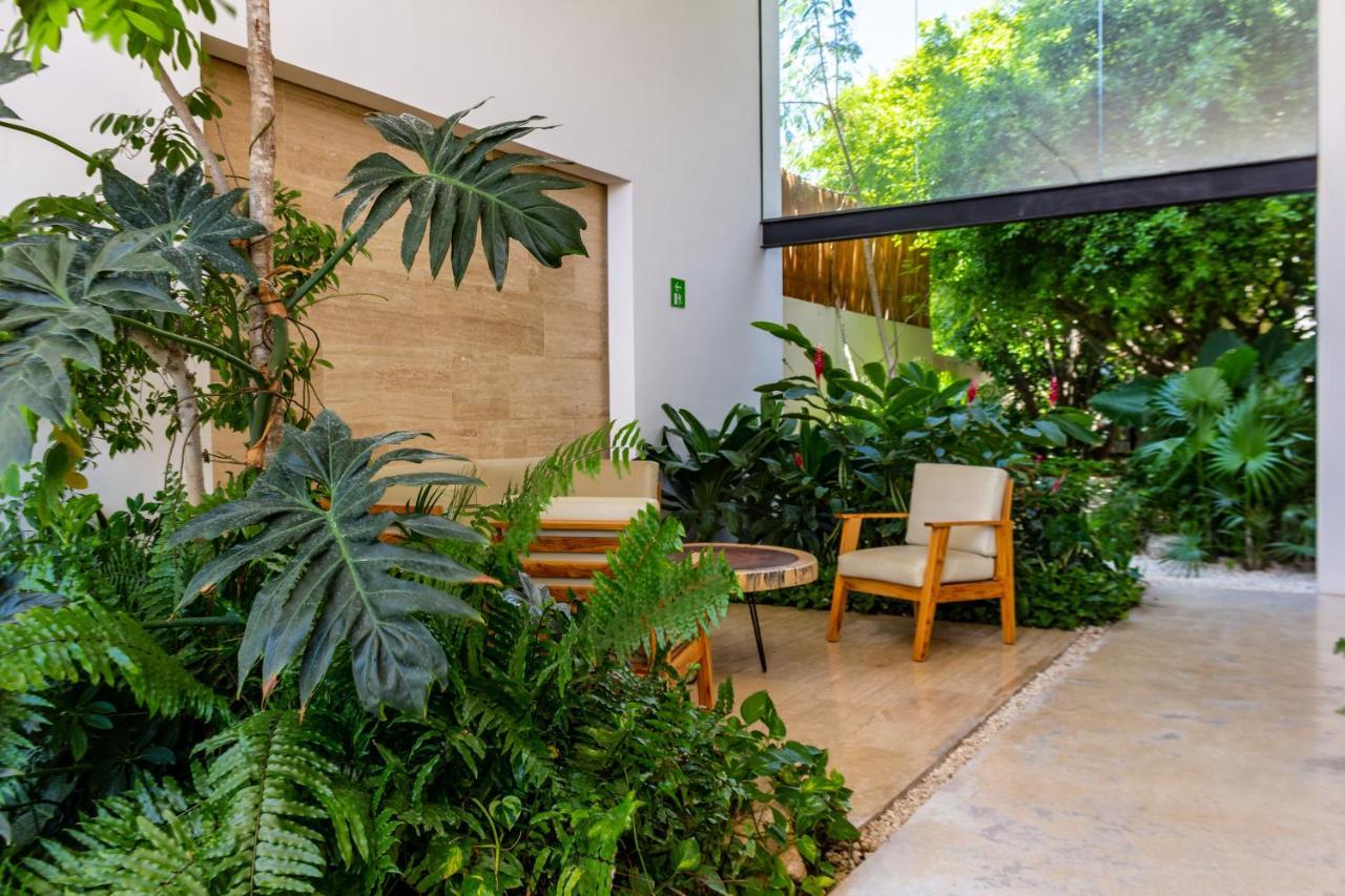 Big Studio At Kaab By The Beach With Roof Top Pool, Sauna And Jacuzzi Near Paseo Del Carmen Mall بلايا ديل كارمن المظهر الخارجي الصورة