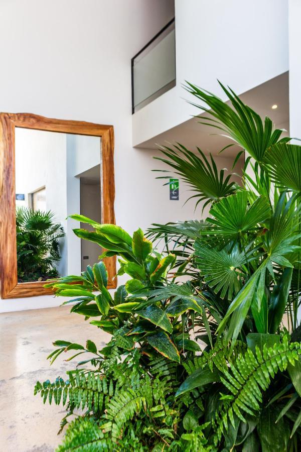 Big Studio At Kaab By The Beach With Roof Top Pool, Sauna And Jacuzzi Near Paseo Del Carmen Mall بلايا ديل كارمن المظهر الخارجي الصورة